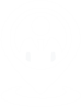 single-case-icon